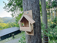 鳥のおうち